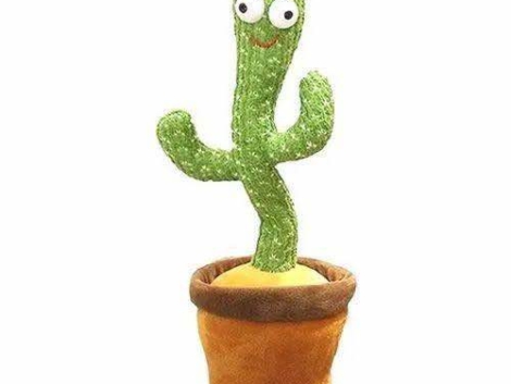 dancing cactus