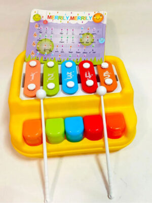 Kids Musical Knock Piano